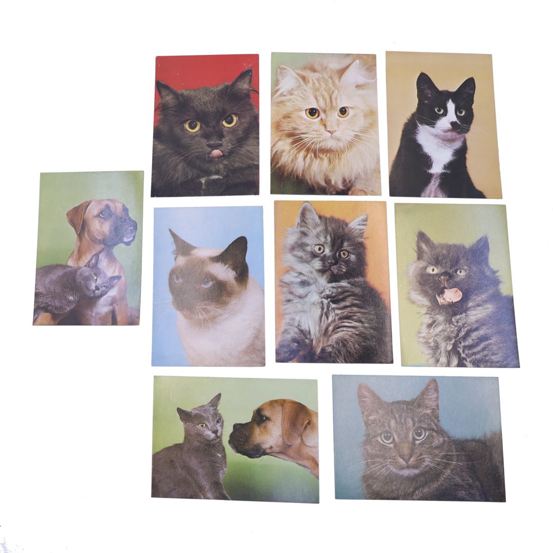 9 pocztówek z serii Koty W. Giermasiński PRL zdjęcie 1