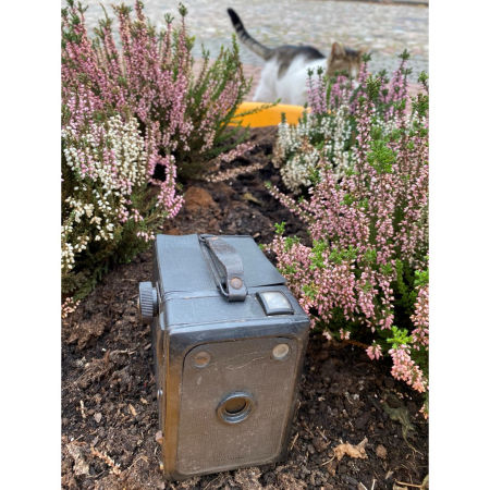 Aparat skrzynkowy Voigtländer Box zdjęcie 2